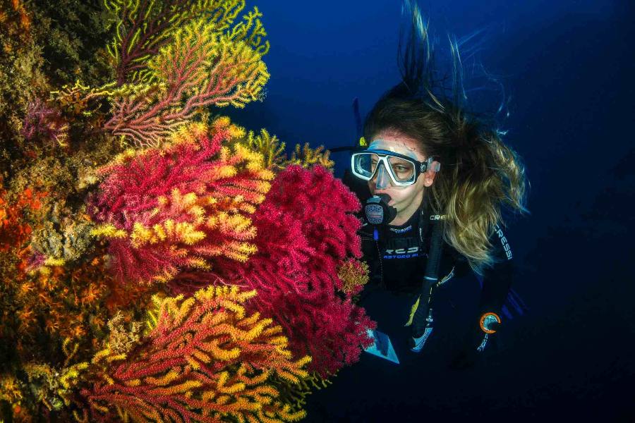 What To Do In Cozumel? - Your Guide To The Top 13 Things To Do
