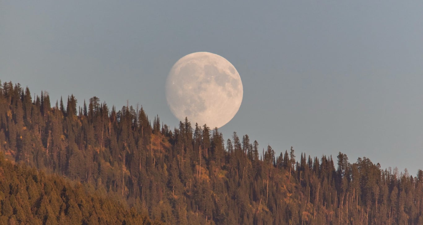 The Secret South Side of Glacier National Park: A Local's Complete Guide image