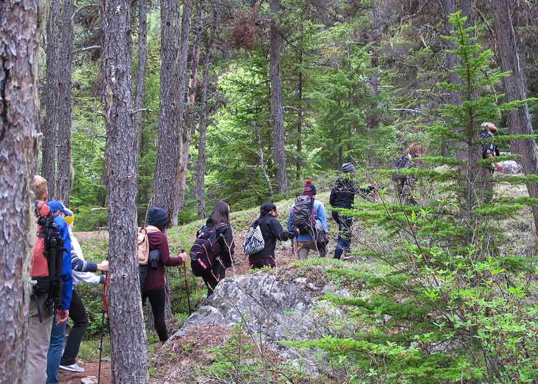 Skagway Adventure Hike Tour Image 8
