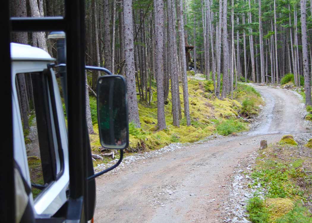 Skagway Sled Dog and Musher's Camp Tour Image 4