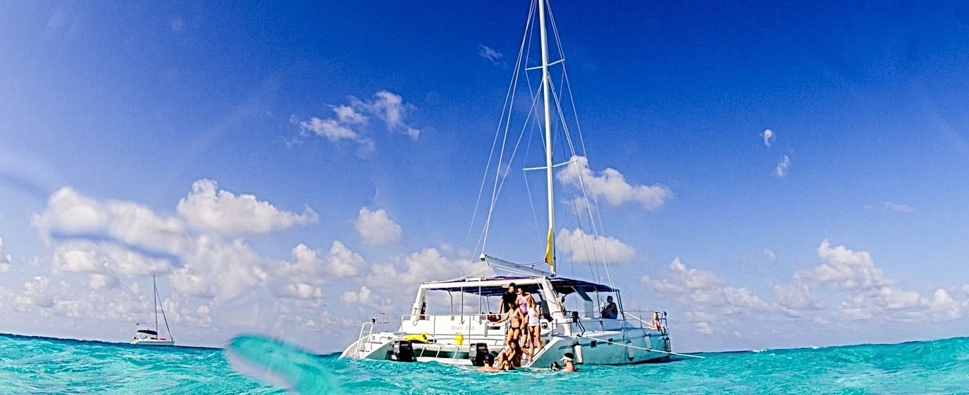 Stingray City & Starfish Point Catamaran Tour image