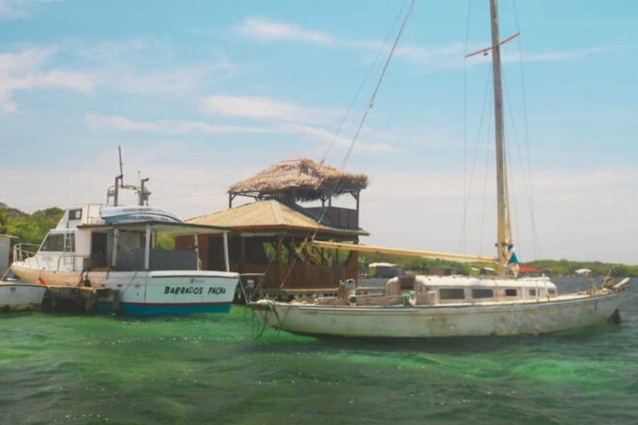 Boats docked on the calm waters, adding to the serene atmosphere of the coast.