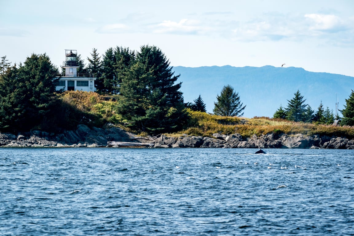 Lighthouse, Totems & Eagles Excursion Tour Image 14