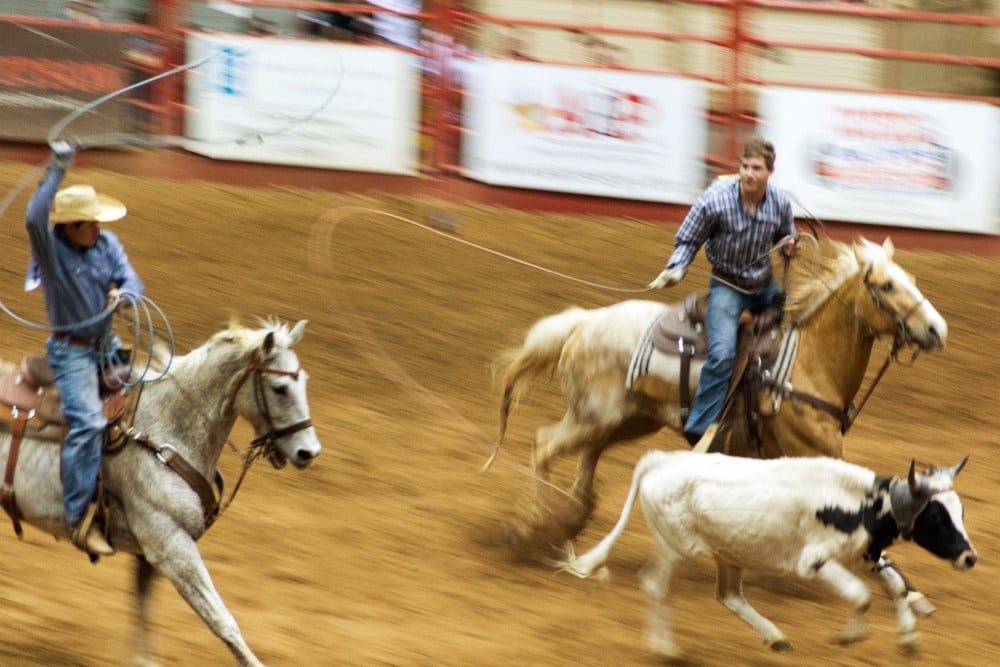 Private Montana Rodeo Experience Tour Image 4