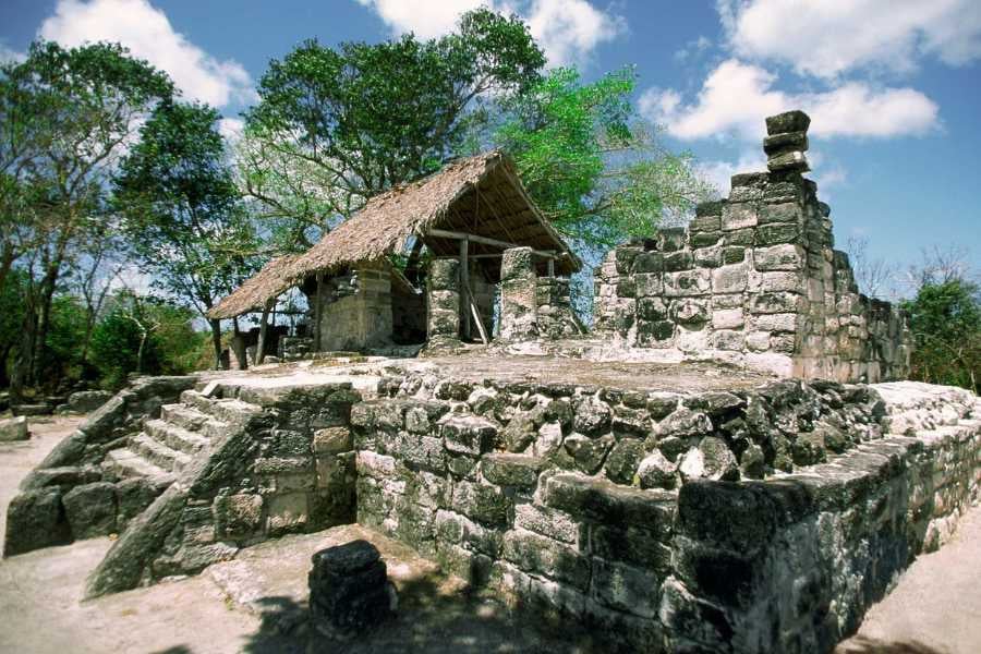 Ancient Mayan ruins stand among lush trees, featuring stone steps and a thatched-roof structure under a sunny sky.