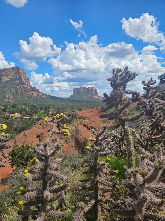 Sedona to Grand Canyon Day Trip (Saturdays Only) Tour Image 11