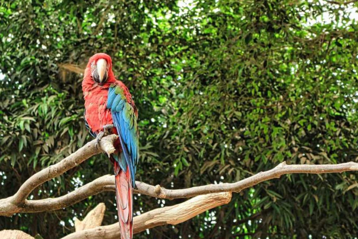 Gumbalimba Park: Our Expert Visitor's Guide image
