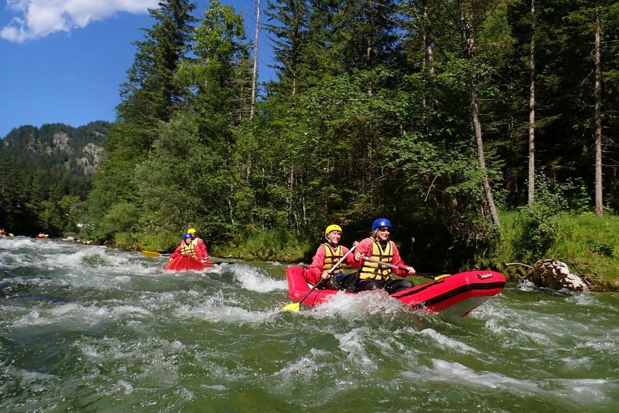 Small teams paddle red rafts through forested river rapids.