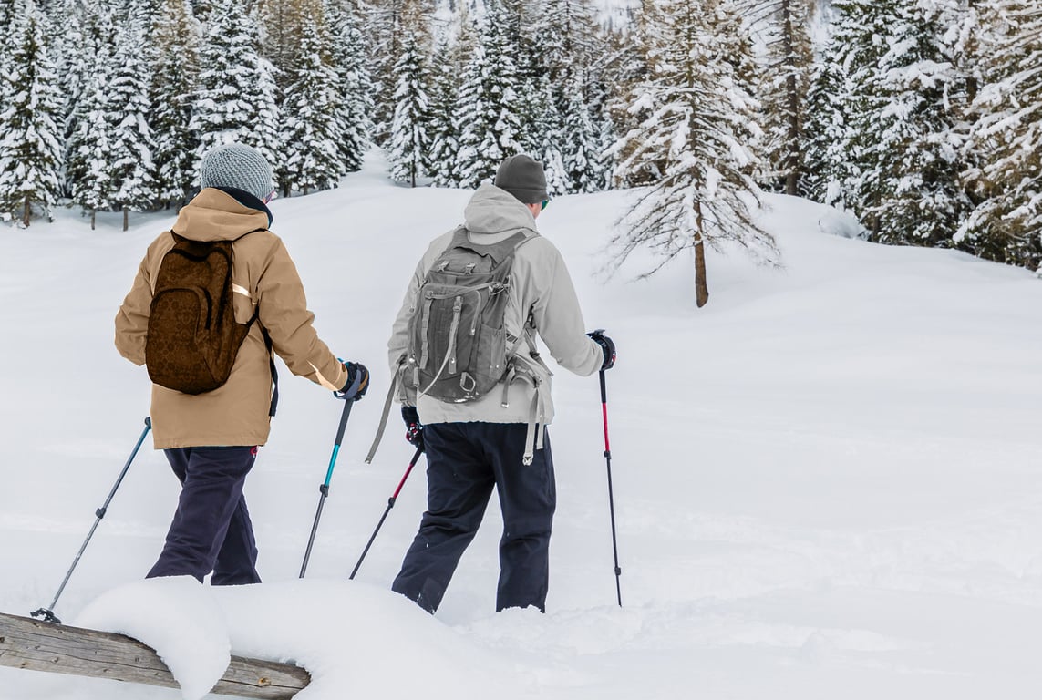 Private Glacier National Park Snowshoe Tour Tour Image 2