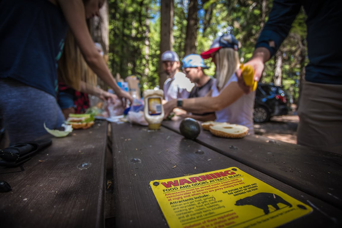 A bear safety sign on a picnic table
