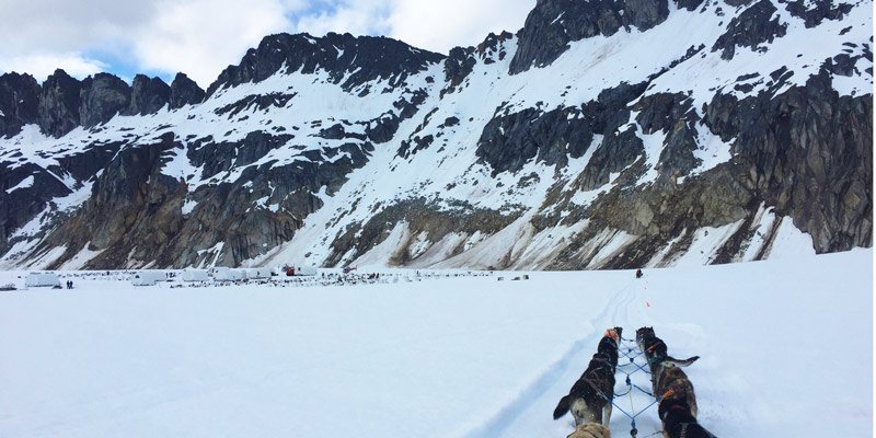 Thumbnail of video about Dog Sledding in Juneau