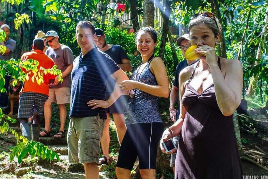 A group of happy tourists savoring fresh fruit while exploring a lush, sunlit forest.