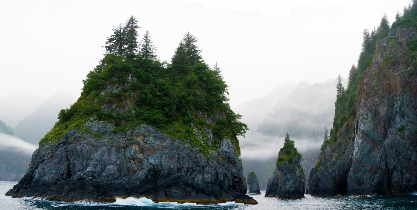 7.5 Hour Kenai Fjords National Park Cruise image