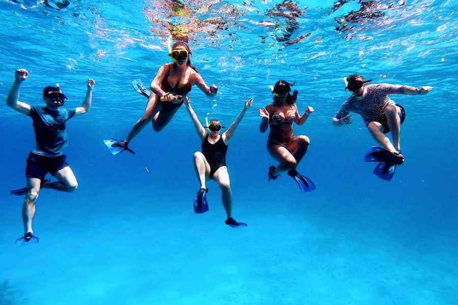 Five friends hover effortlessly in the blue waters, enjoying a shared snorkeling adventure.