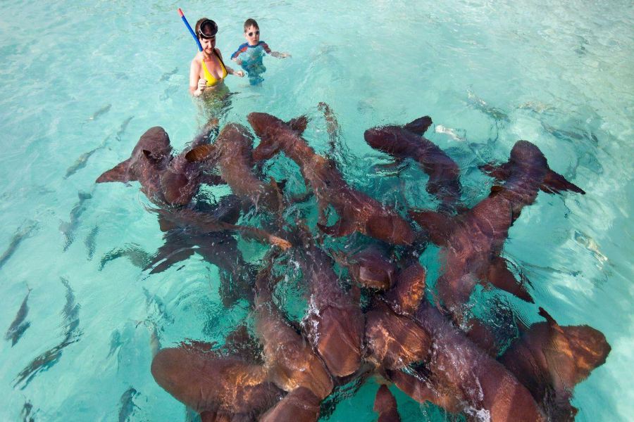 Belize: Our Expert Visitor's Guide