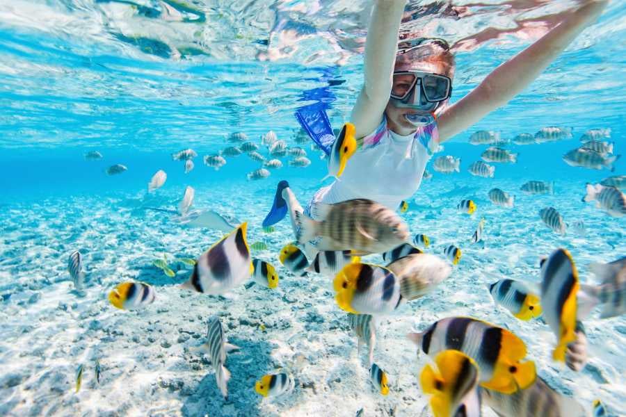 A young snorkeler surrounded by vibrant tropical fish in crystal-clear water, enjoying an underwater adventure.