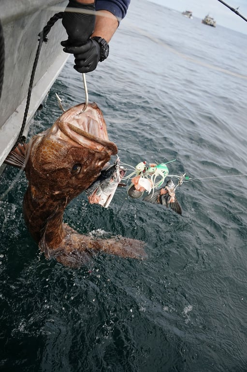 Sitka Salmon Fishing Tour Image 4