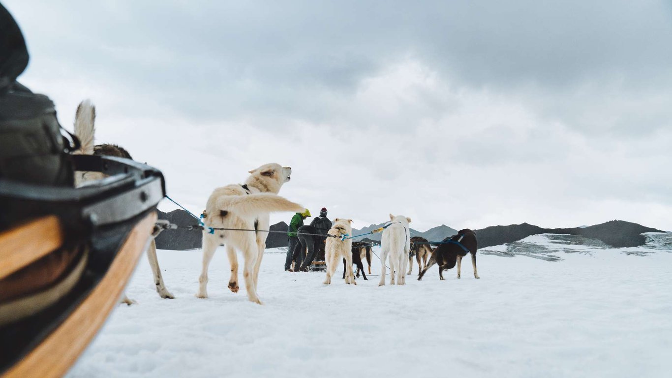 Anchorage Helicopter and Glacier Dogsled Tour image