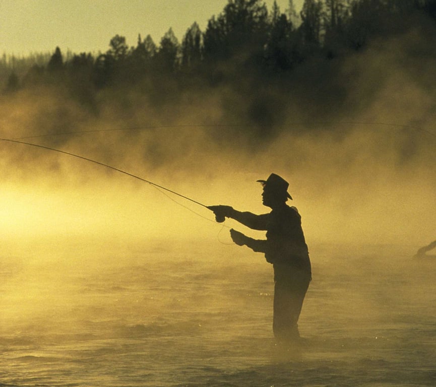 Fly Fishing tour category image