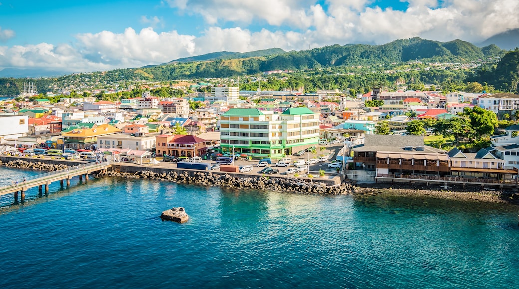 Roseau Sightseeing Tour image