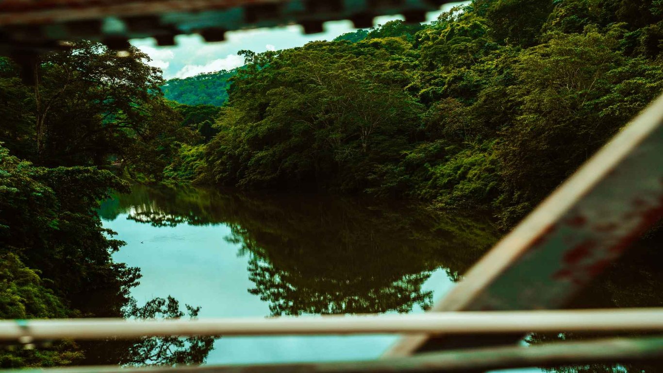 Nature in San Ignacio image