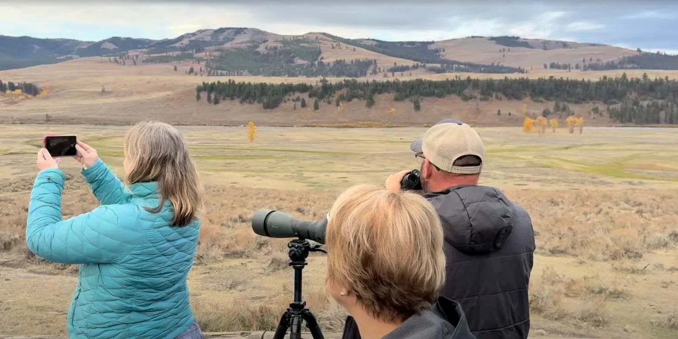 All-Day Yellowstone Safari From West Yellowstone Tour Image 9