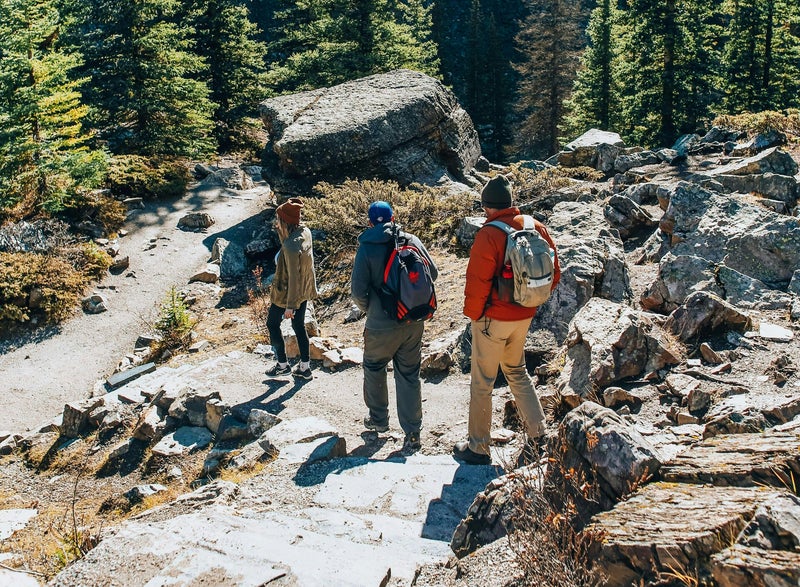 Bozeman Wildlife & Scenic Sightseeing Tour Tour Image 1