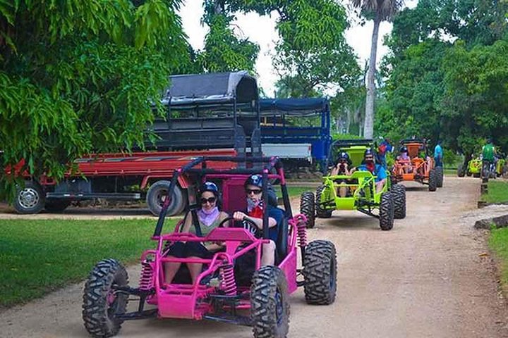 Buggy category image