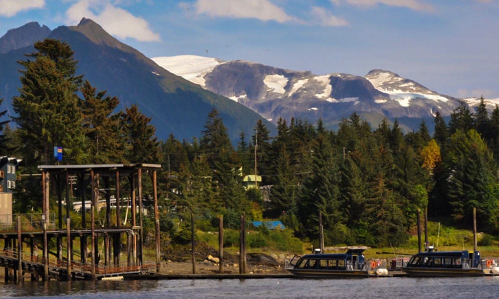 Whale Watching Tour Tour Image 18