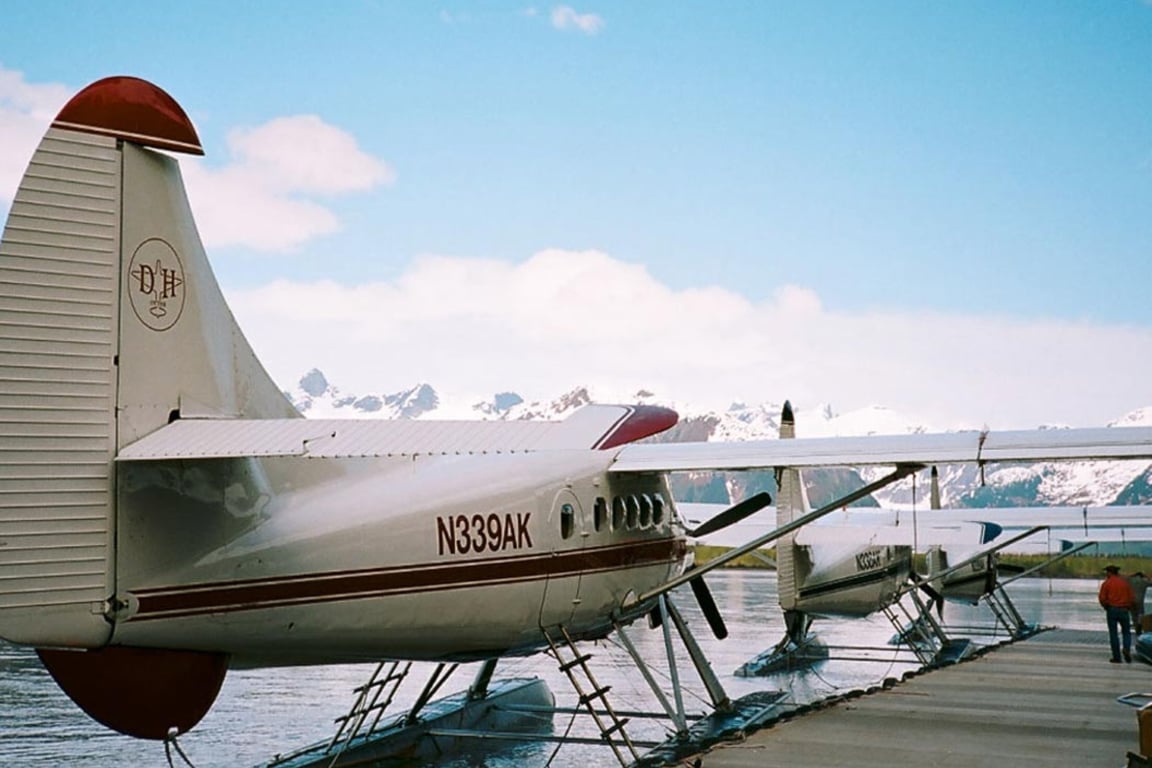 5 Glacier Seaplane Exploration Tour Image 2