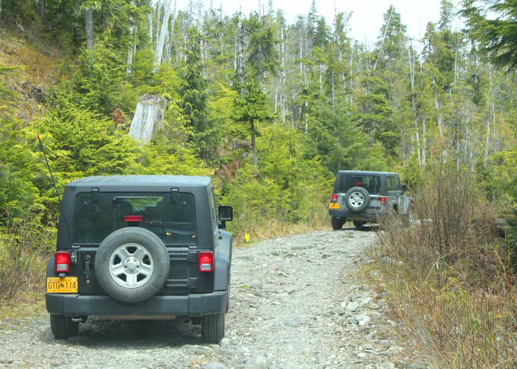 Backcountry Jeep and Canoe Safari Tour Image 5
