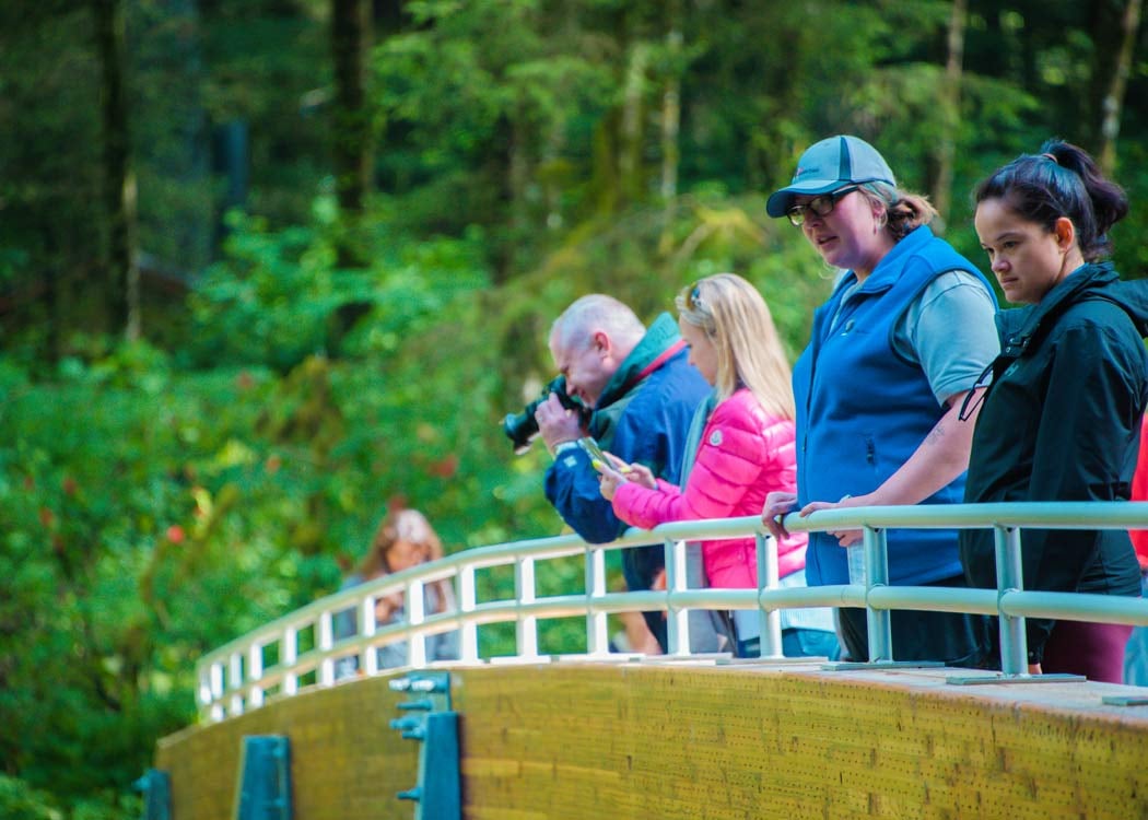 Guests getting "the shot" on their Premium Sitka Scenic Tour.