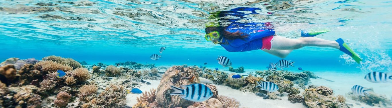 Top 15 Snorkeling Spots in Grand Cayman image