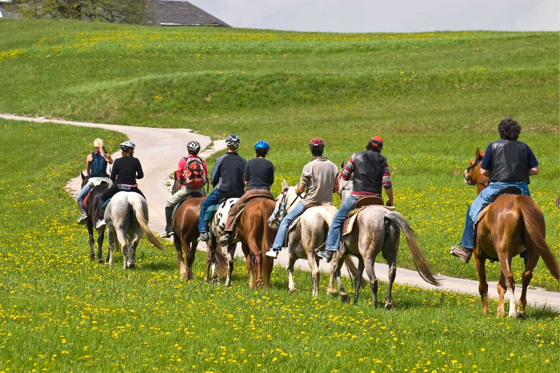 One Hour Yellowstone Horseback Ride image