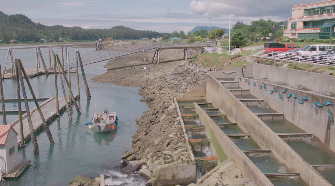 What to Know Before Your Visit to the Macaulay Salmon Hatchery