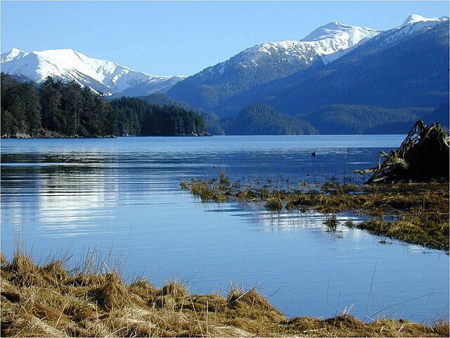 A Local Expert’s Guide to the Sitka Sound Science Center: Alaska’s Marine Marvel image