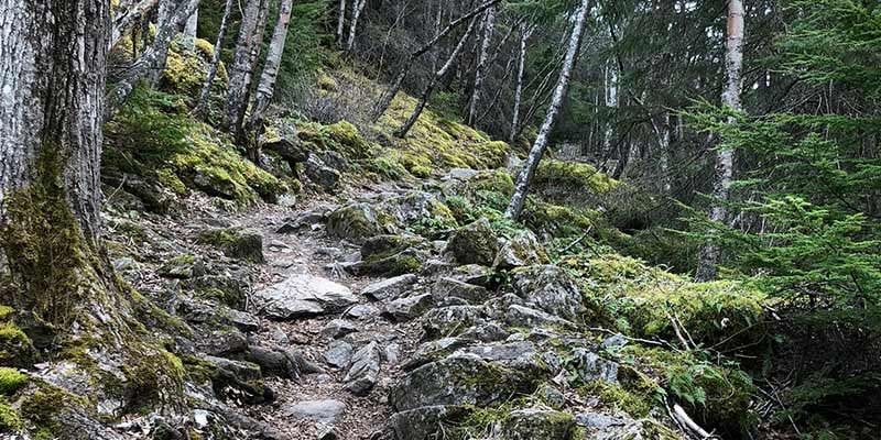 Best Short Hikes in Skagway