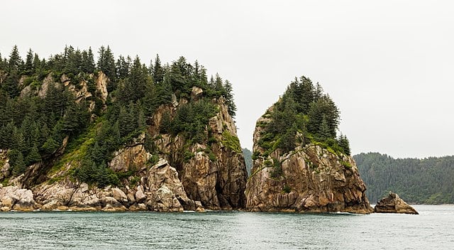 Our Local Expert's Guide to Resurrection Bay