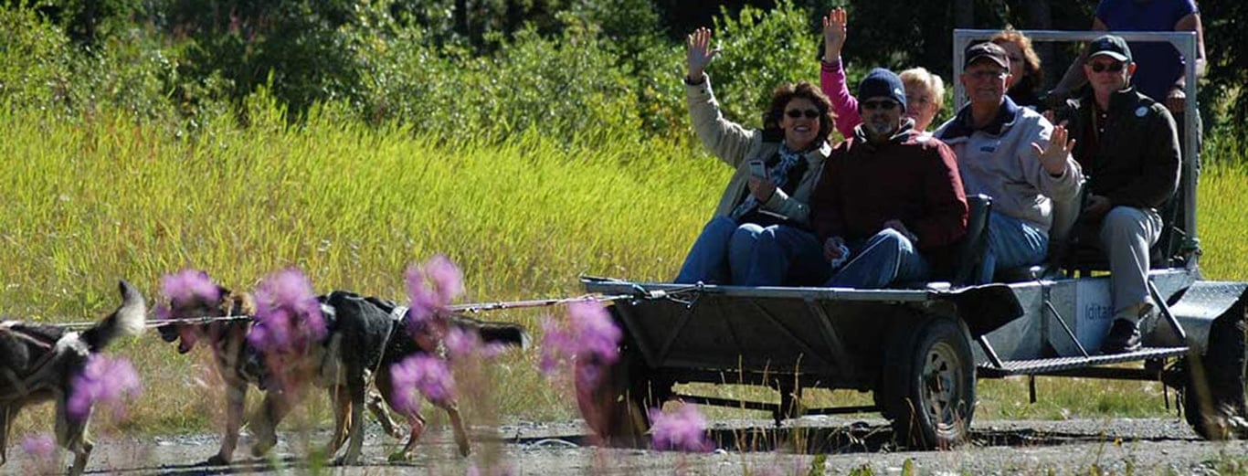 Private Emerald Lake & Dogsled Tour image