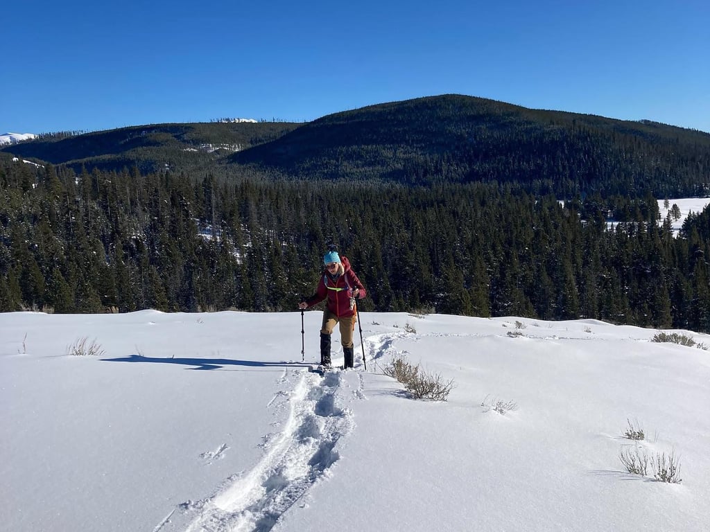 Winter Yellowstone Snowshoe Safari Tour Image 8