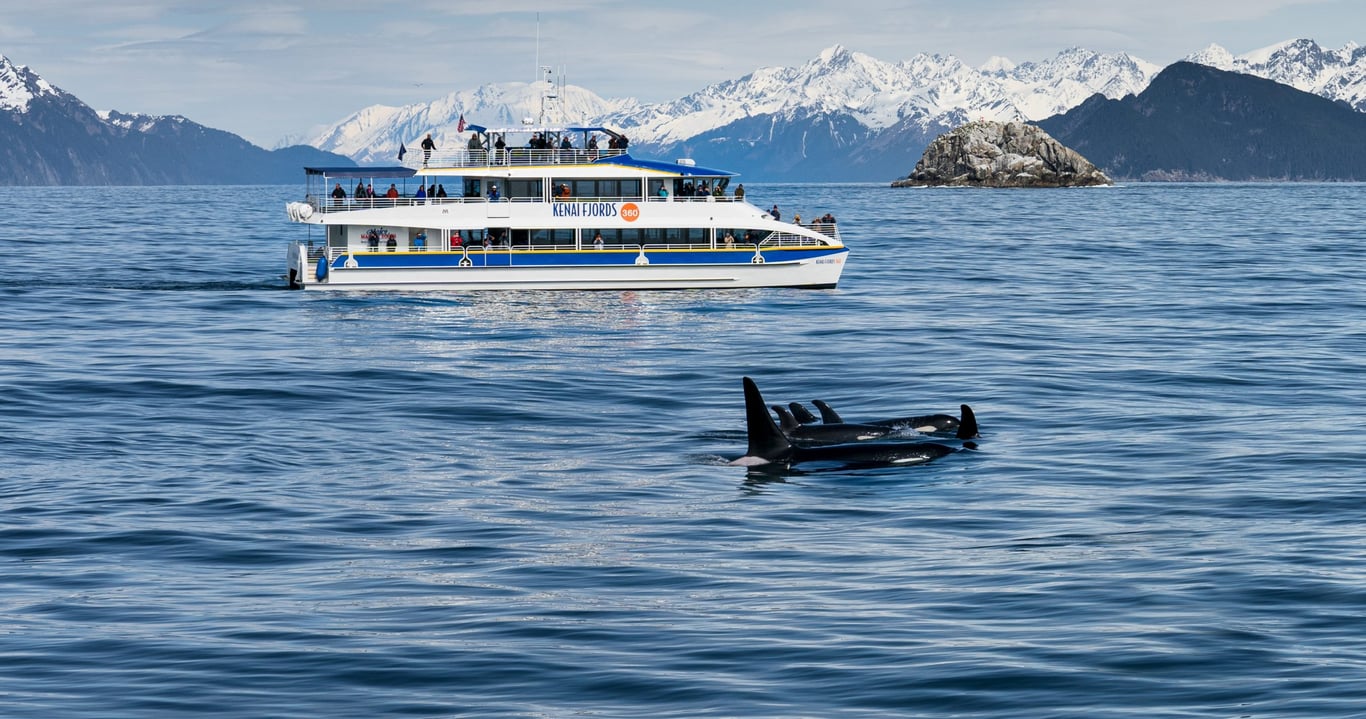 Our Local Expert’s Guide to the Alaska SeaLife Center