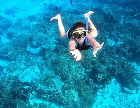 Columbia, Palancar & El Cielo Snorkel Tour Tour Image 5