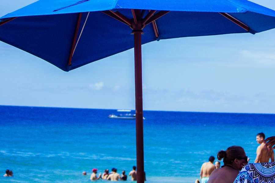 A peaceful beach scene with a beach umbrella providing shade and visitors enjoying the clear blue waters.