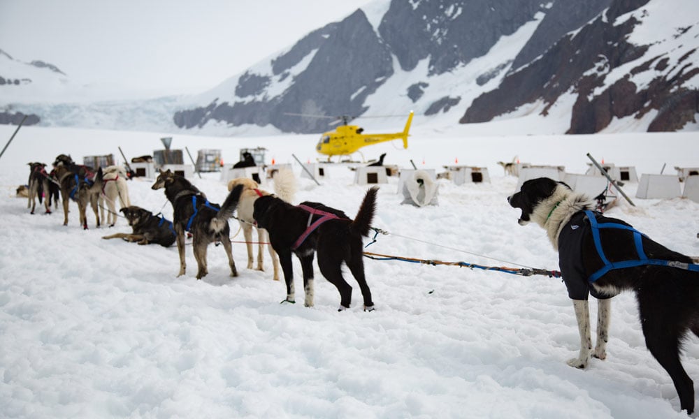 Juneau Cruise Port Guide: What You Need To Know