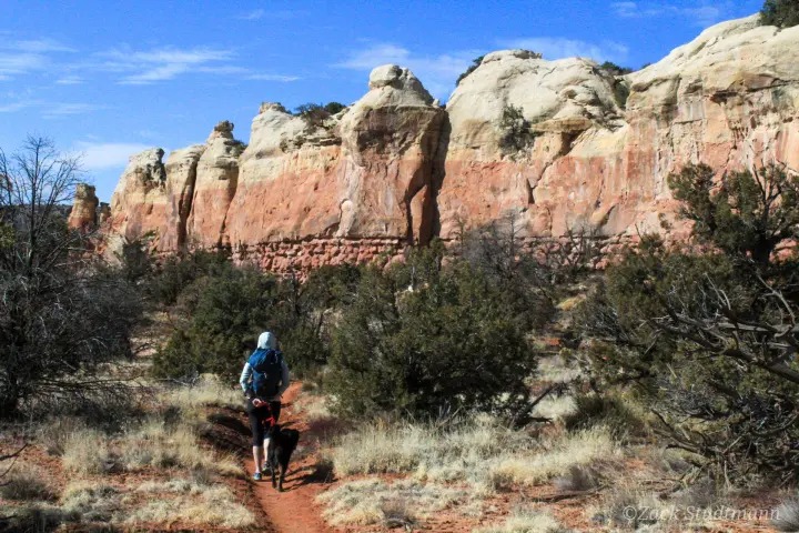 Canyons of the Ancients Tour image