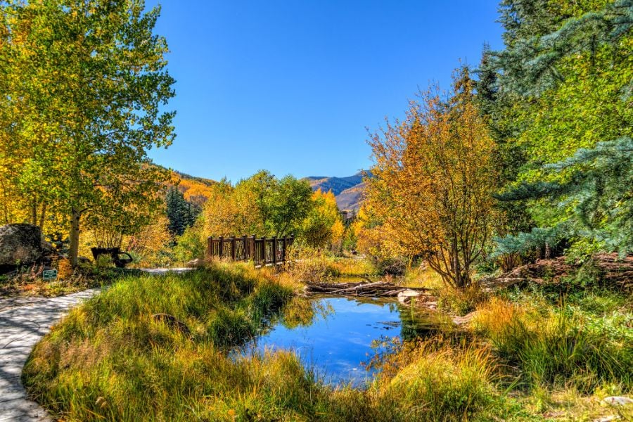 A peaceful pond reflects autumn trees along a quiet forest path.