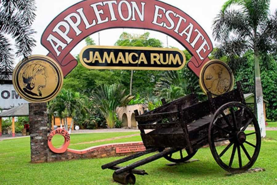 The iconic Appleton Estate sign stands proudly, welcoming visitors to explore Jamaica's rich rum history.