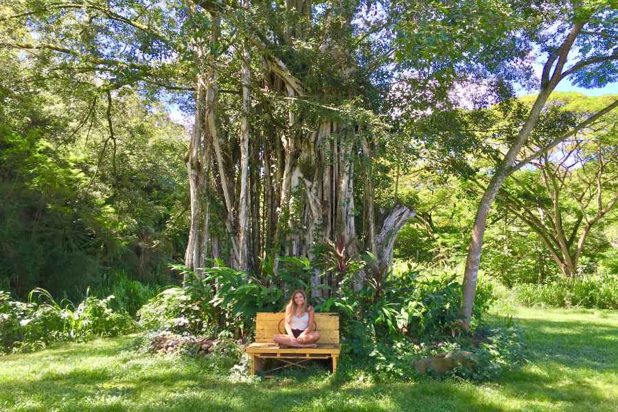 A girl is sitting under a tree