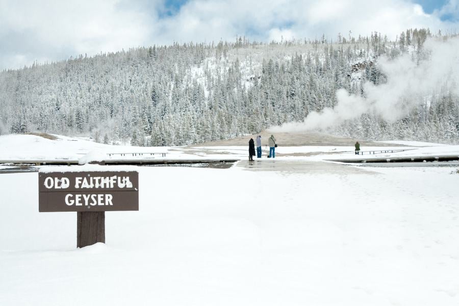 Visitors watch Old Faithful geyser erupt against a snowy forest backdrop.