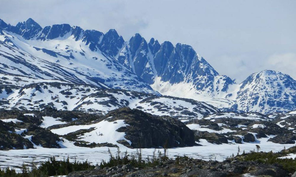 Private White Pass Summit Tour Tour Image 8